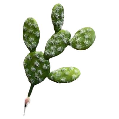 西欧仙人柱大中小彩色仿真植物