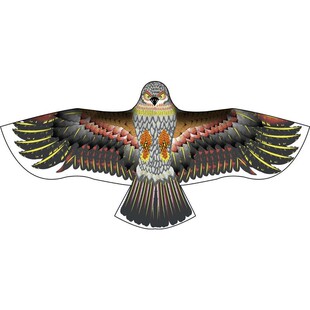 老鹰风筝批发摆摊成人微风易飞风筝轮子带线轮2026年新款儿童风筝