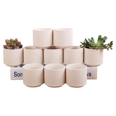 透气会呼吸陶瓷花盆可用颜料画画