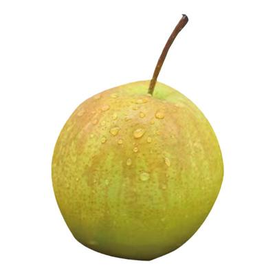 梨正宗山西玉露香梨脆甜脆梨酥梨