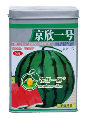 耐重茬抗病西瓜种籽孑西瓜种子