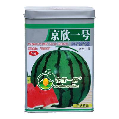 耐重茬抗病西瓜种籽孑西瓜种子