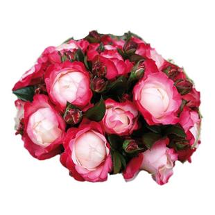 灌木根接大苗瑞典女王詹尼斯大地主乡愁橙色未来老园丁月季盆栽