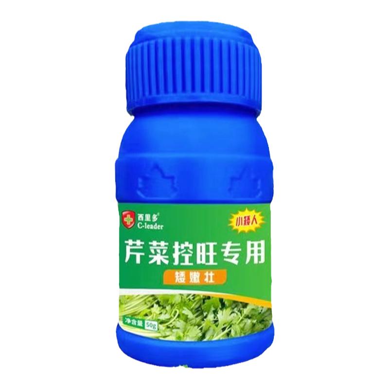 芹菜专用控旺药小矮人防徒长疯长