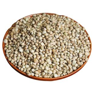 中颗粒火麻子/麻籽/火麻仁鹦鹉鸟粮饲料仓鼠松鼠粮鸽粮饲料5斤装