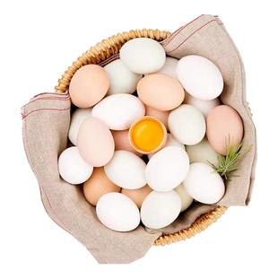 农家散养土鸡蛋40枚整箱包邮正宗新鲜草鸡蛋谷物笨360枚柴鸡蛋