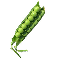 云南新鲜甜脆豌豆长寿豆富硒健康