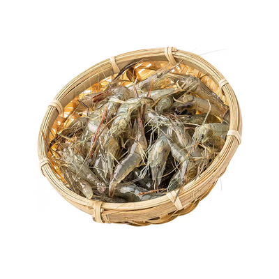 河虾苗青虾苗太湖虾淡水养殖