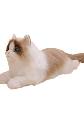 仿真猫咪玩偶布偶猫毛绒玩具