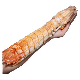 泰国巨型海鲜濑尿虾超大皮皮虾鲜活特大富贵虾琵琶虾水产冷冻虾姑