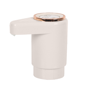 双泵双孔快速出水电动抽水器