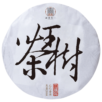 2025年易武刮风寨茶王树古树茶