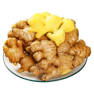 小黄姜新鲜生姜老姜山地黄姜沙姜月子姜嫩姜母蔬菜去腥当季辛辣味