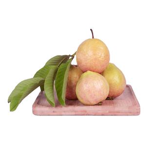 【限时狂补】广东胭脂红番石榴红心芭乐增城特色新鲜水果现摘现发