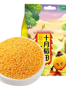十月稻田东北一级黄小米易煮香糯