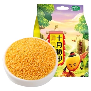 【次日达】十月稻田黄小米五谷杂粮小米可搭配黑米大米食品小米粥