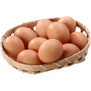 朝一鸡蛋150个装日式料理鸡蛋寿司火锅鸡蛋溏心鸡蛋烘焙蛋糕专用