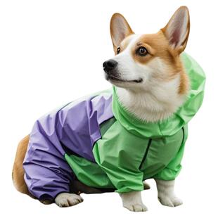 柯基犬专用雨衣四脚防水全包肚兜宠物小狗狗衣服柴犬中型犬夏季