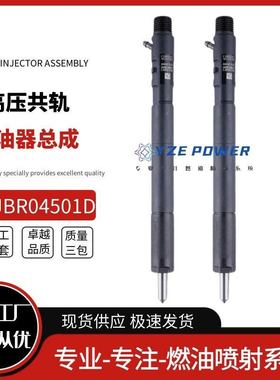 EJBR04501D喷油器德尔福适用韩国双龙爱腾喷油嘴总成A6640170121