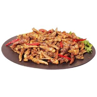 香酥蚂蚱油炸即食油炸蚂蚱蝗虫蚱蜢食用零食虫子烧烤商用昆虫美食