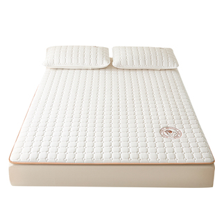 家庭用床垫南方防潮防霉床褥子垫单人不塌陷不变形被褥铺底可折叠