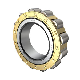 进口ZCD圆柱轴承RN203 204 205 206 307 309 312 219 222 228 328