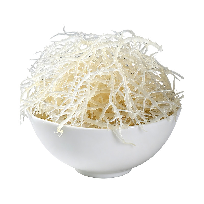 新鲜龙须菜无防腐剂盐渍锁鲜翠嫩龙须菜凉拌菜批发海石花菜