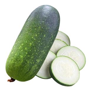 黑皮冬瓜种苗特大冬瓜种籽巨型杂交春夏秋四季阳台盆栽蔬菜孑大全