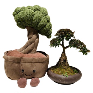 【现货】jELLYCAT英国2022年新品趣味盆景树Bonsai Tree玩偶毛绒