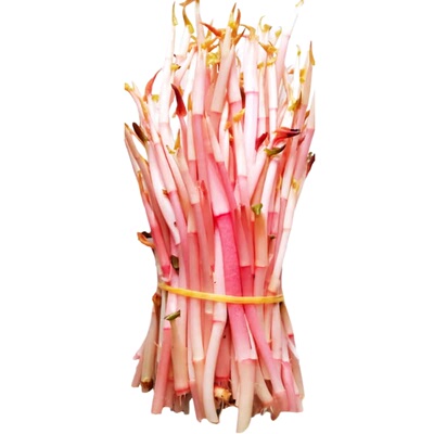 鱼腥草折耳根嫩根蕨菜农家时令现挖野菜香菜嫩芽新鲜蔬菜当季特产