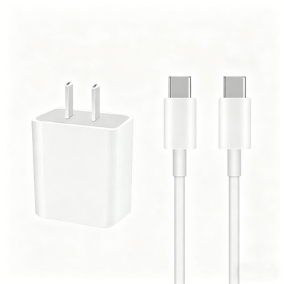 适用苹果ipad充电线正品快充