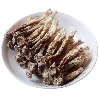 鹿茸菇无硫干货|601人收藏