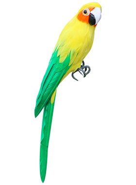 仿真羽毛鹦鹉摆件田园软装工艺品