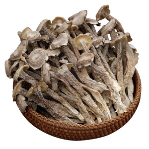 鹿茸菇干货蘑菇特产香菇商用送礼