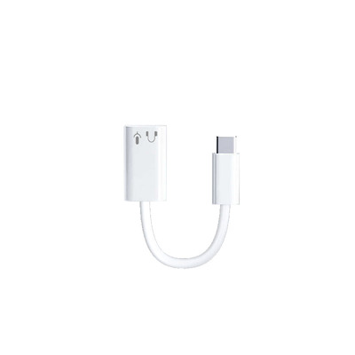 【顺丰次日达】原装正品转换器