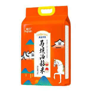 舶元马坝油粘米5kg广东特产丝苗米软糯弹牙煲仔饭用籼米地标认证