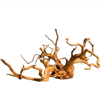 鱼缸造景莫斯树杜鹃根鱼缸造景