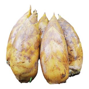 冬笋新鲜现发毛竹笋天目鲜笋春笋腌笃鲜大毛笋嫩笋尖新鲜冬笋