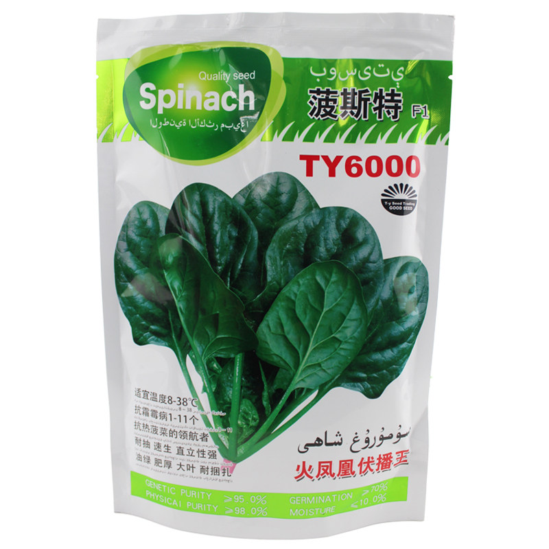 斯特ty6000耐热大叶四季菠菜种子