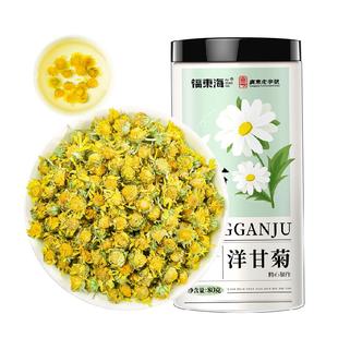 福东海洋甘菊茶花茶包新鲜菊茶花草茶野菊花干花胎菊金丝皇菊鲜花