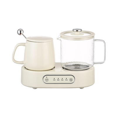 养生壶多功能家用办公室煮茶器小型玻璃花茶迷你恒温水杯送礼物