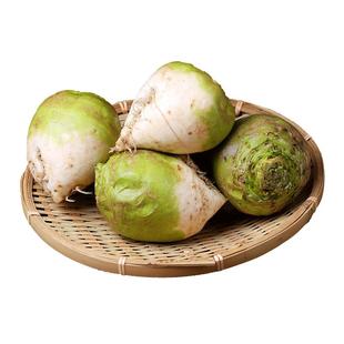 芥菜疙瘩新鲜现挖大头菜农家蔬菜老式生辣芥菜腌咸菜丝酱泡下饭菜