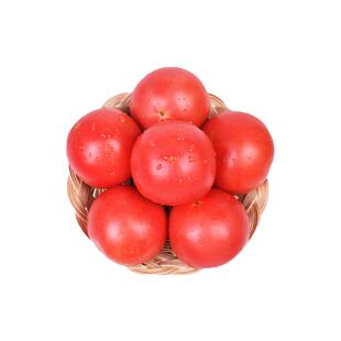 【廊下滋味】西红柿500g新鲜大番茄沙瓤可生吃自然熟孕妇水果小粉