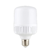 12v24v36v48伏低压直流led灯泡1