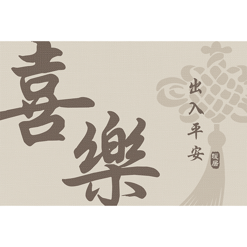 咖啡色硅藻泥入户门地垫2024新款高级感进门口防滑垫子可裁剪地毯
