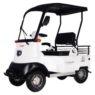 小巴士老年代步车老人电动四轮助力观光车X2双人家用接小孩电瓶车