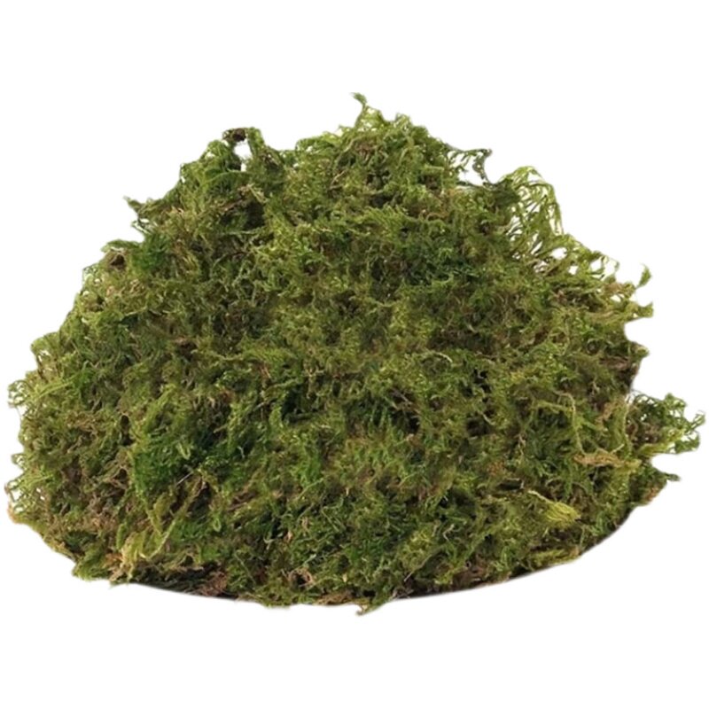 20斤干水苔苔藓水草兰花专用青苔
