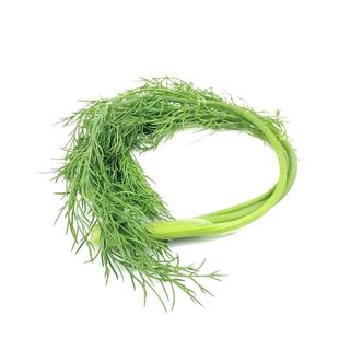 小茴香菜新鲜包邮时令特色蔬菜新鲜农家特产茴香苗坏单包赔不带根