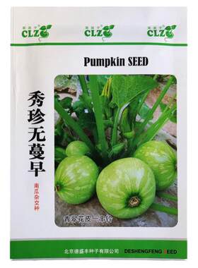 早熟无蔓玉珠圆西葫芦种子