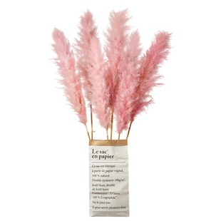 橱窗婚庆道具粉色芦苇干花花束蒲苇干花真花天然芦苇装饰插花干花